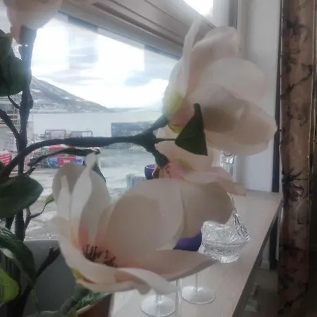 Downtown To Yourself 特罗姆瑟