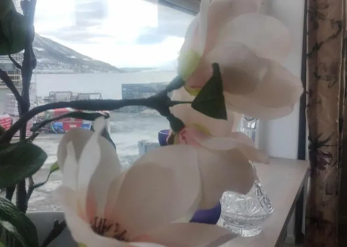 Downtown To Yourself Tromsø